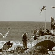 160 Monte Gordo